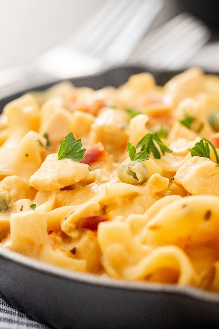 A closeup shot of the Chicken Noodle Skillet Meal in a Jar showing the noodles and chicken.