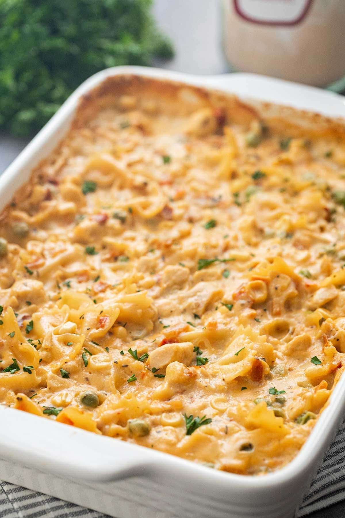 Creamy Chicken Noodle Veggie Casserole Meal in a Jar made in a white rectangular baking dish, garnished with fresh chopped parsley.