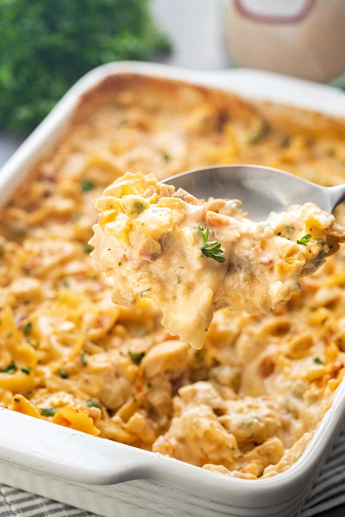 Scoop of Creamy Chicken Veggie Casserole in a Jar being held up close to camera to show the pasta and vegetables in the cheese sauce.