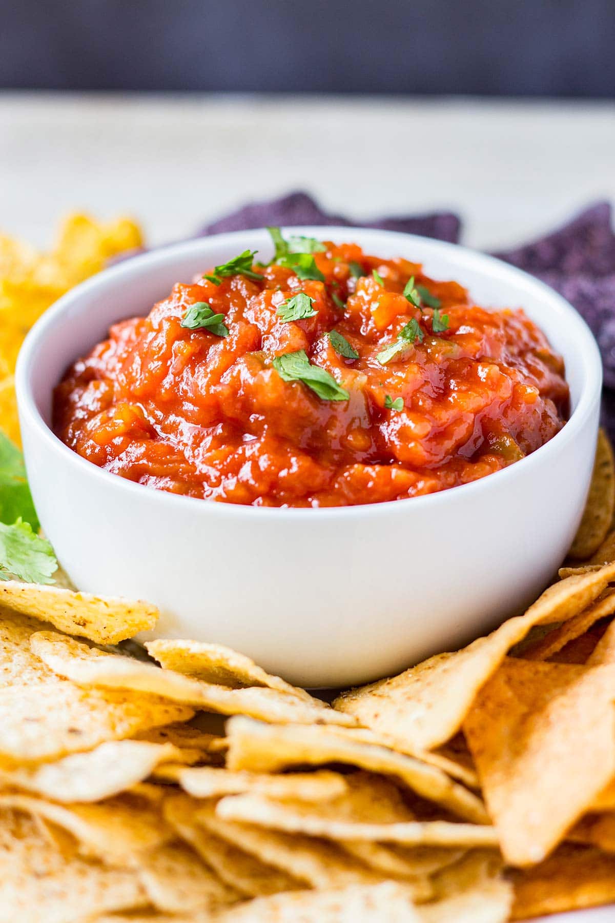 Easy Freezer Salsa in a white bowl surrounded by various colors of tortilla chips.