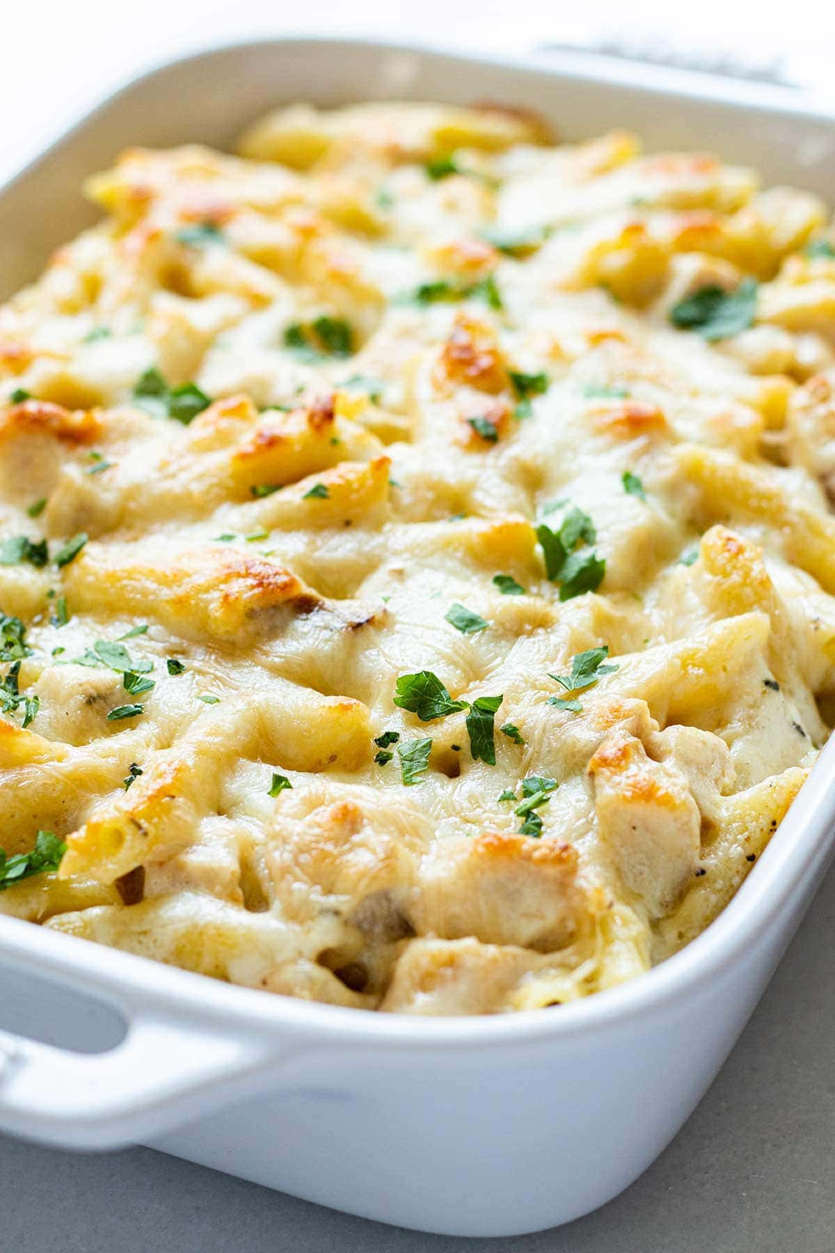 Chicken Alfredo Bake cooked in a rectangular white baking dish, topped with melted mozzarella cheese and garnished with fresh green parsley.