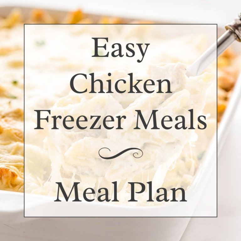 Easy Chicken Freezer Meal Mini Session