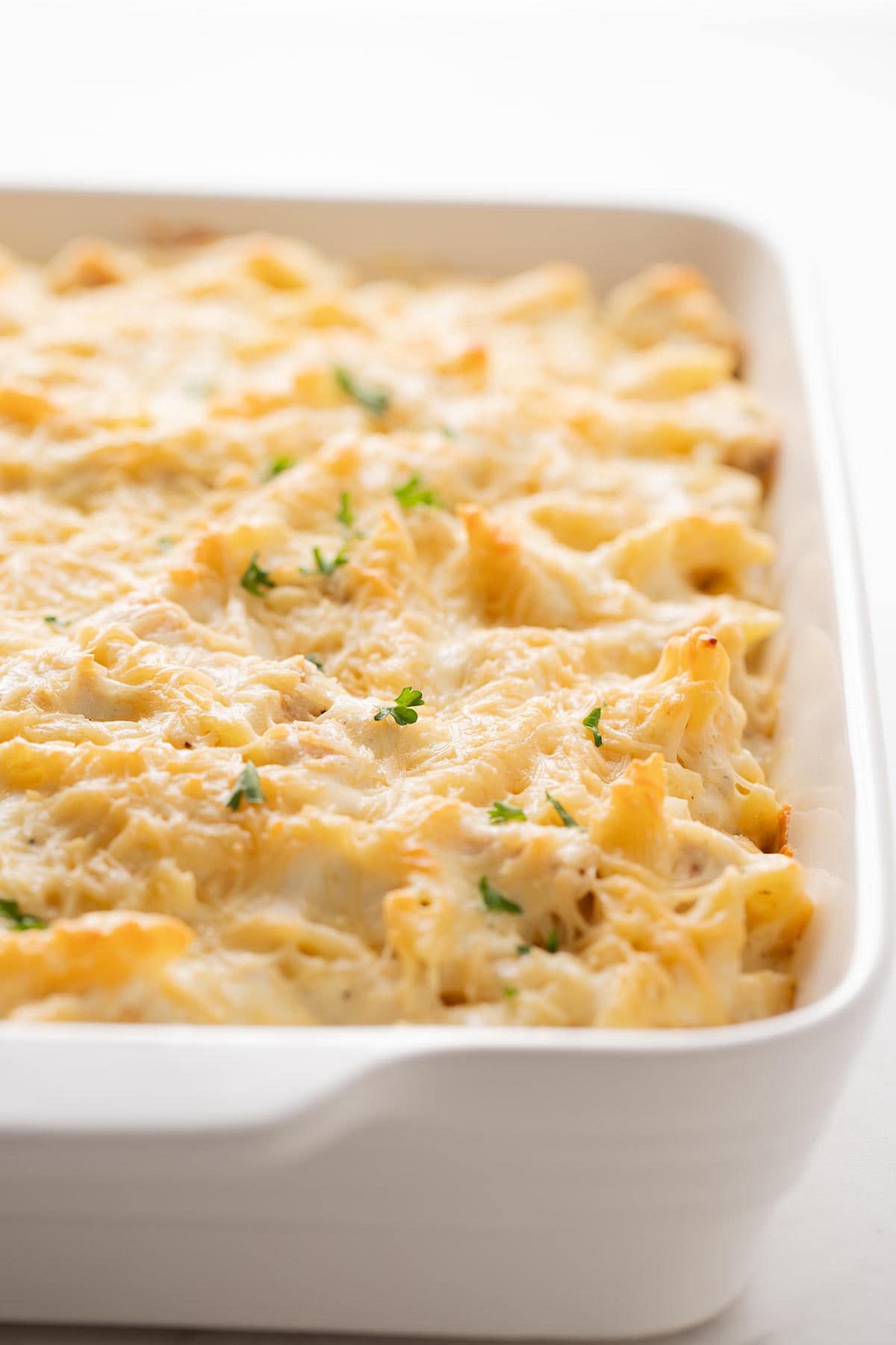 Backlit shot of Chicken Alfredo Bake in a white baking dish with parsley garnish.