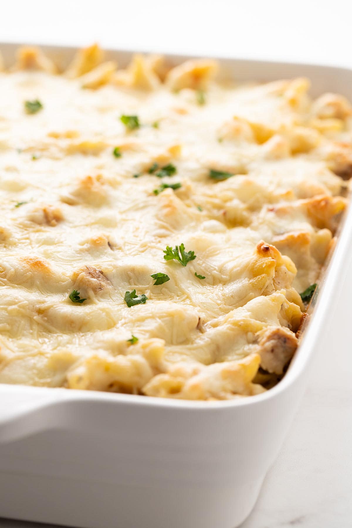 Angled shot of Chicken Alfredo Bake in a baking dish and garnished with fresh parsley.