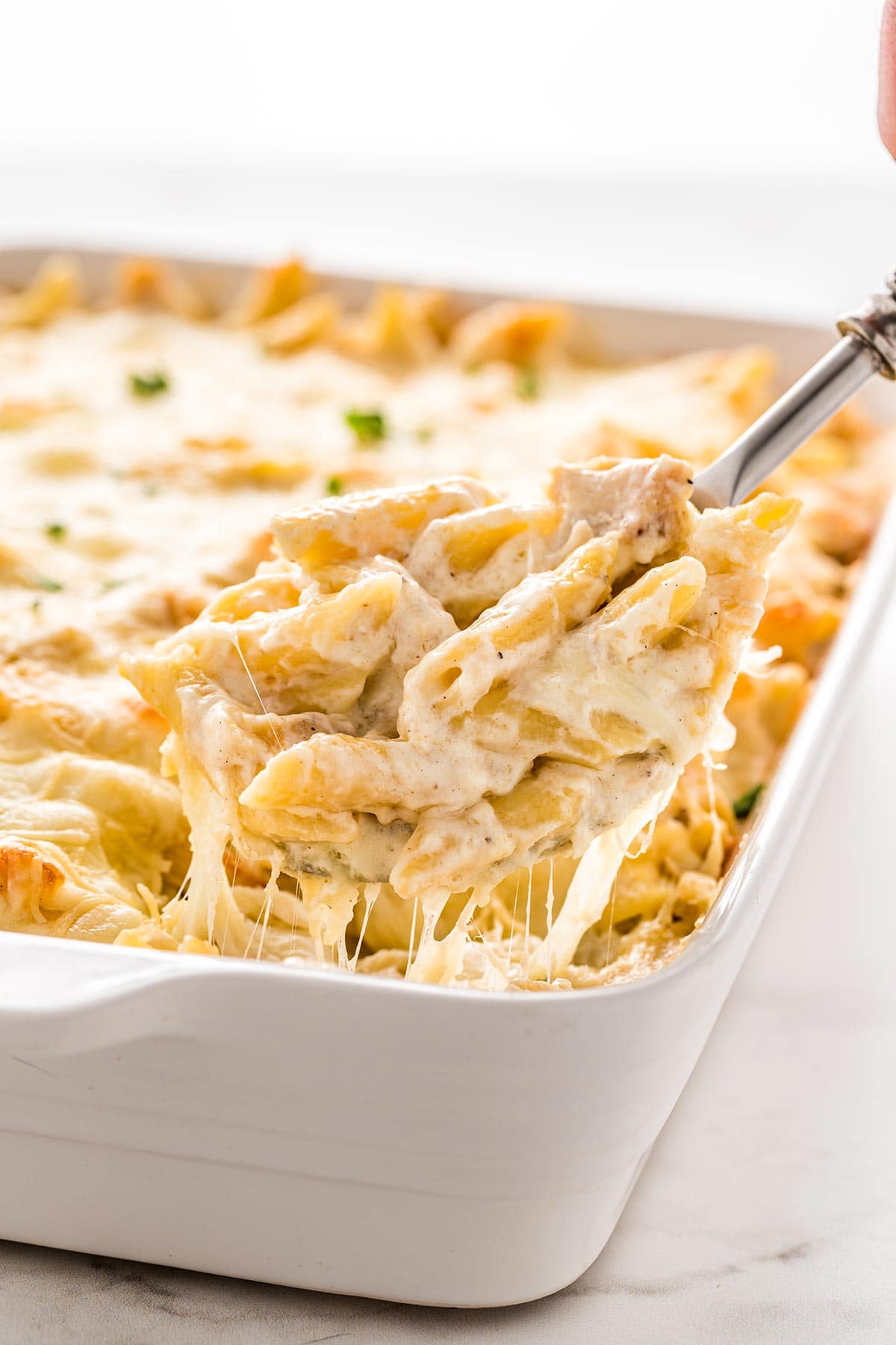 White casserole dish with Chicken Alfredo Bake being dished out onto a plate.