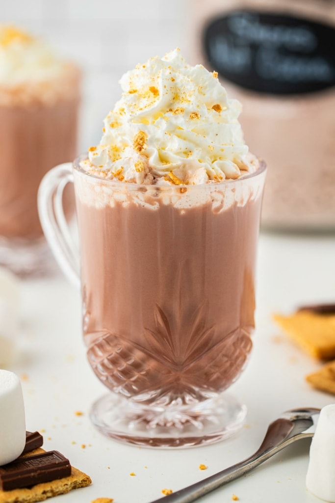 A closeup shot of a glass mug of S'mores Hot Chocolate mix topped with whipped cream and garnished with graham cracker crumbs.