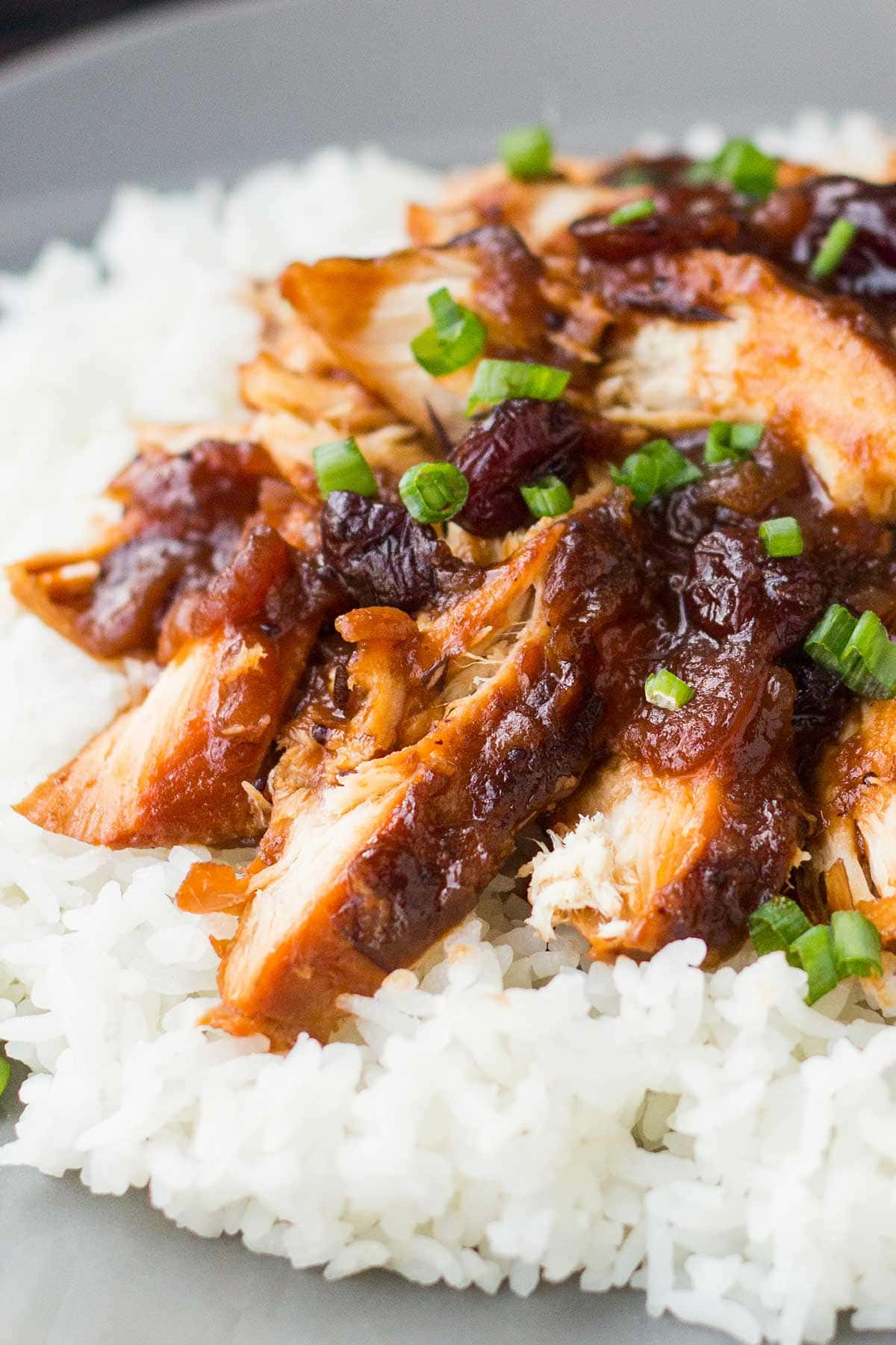 Close-up shot of a 5-ingredient freezer meal cooked and plated for eating.